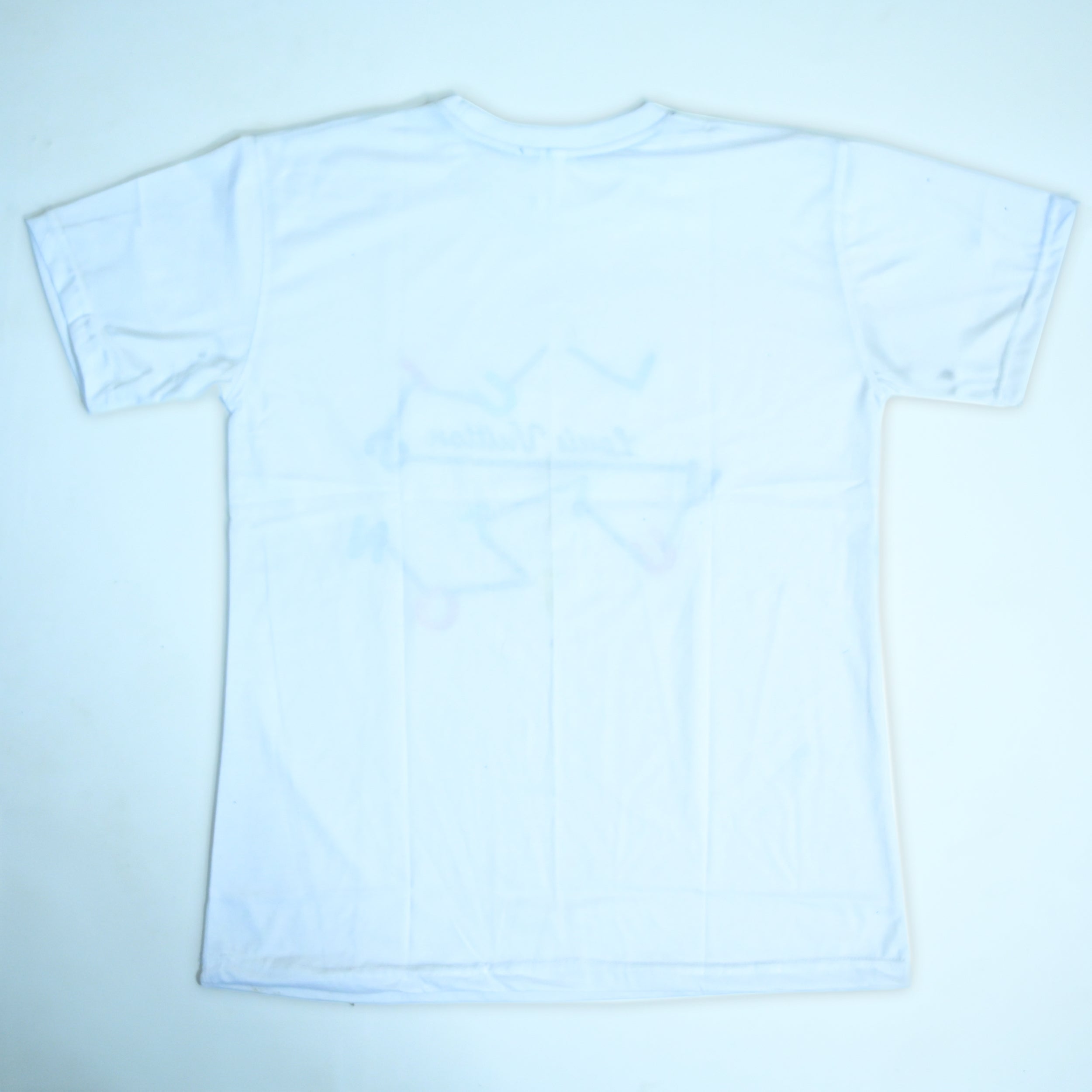 Regular Fit Abstract Typography Graphic T-Shirt _ White