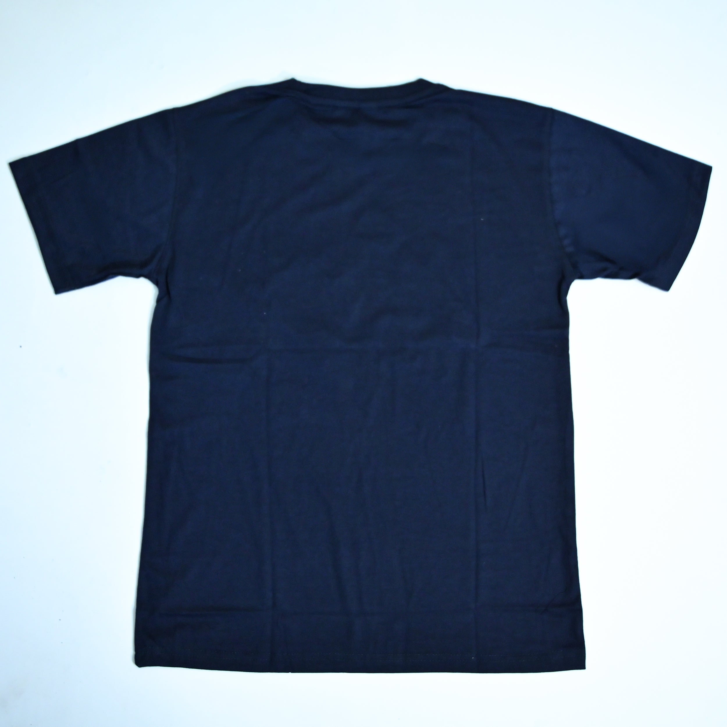 Regular Fit Abstract Typography Graphic T-Shirt _ Navy