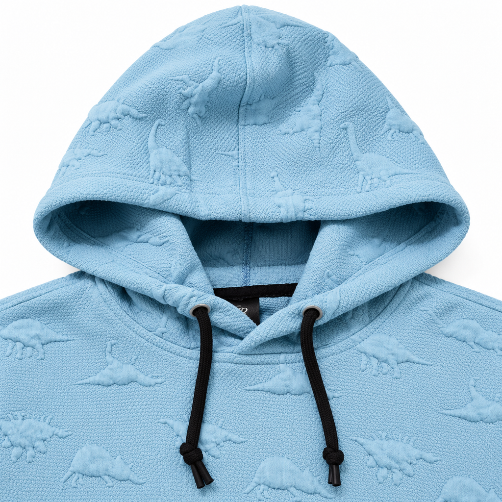 Baby Blue Dinosaur Embossed Textured Pullover Hoodie – Unisex
