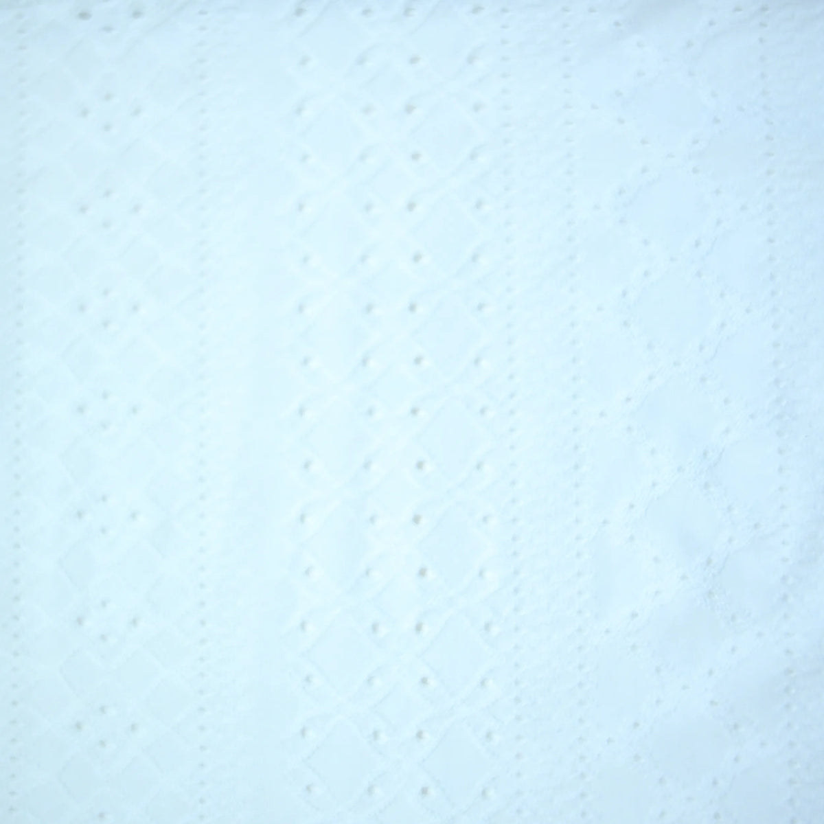 Embroidered Eyelet Drop Shoulder T-Shirt - White